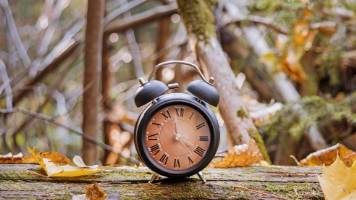 An old-school alarm clock with a peach-colored face is sitting on a log outside in Autumn. 