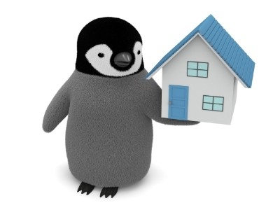 A little penguin holding a tiny, random house in its flipper representing a play on words for Penguin Random House. 