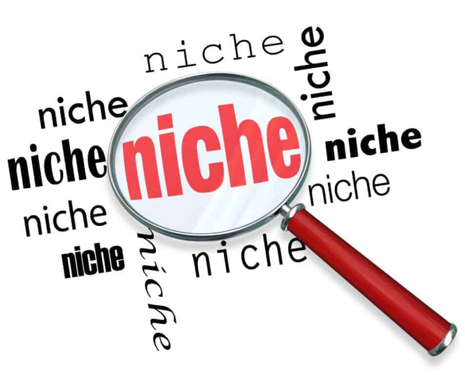 A magnifying glass hovering over the word "niche." 

