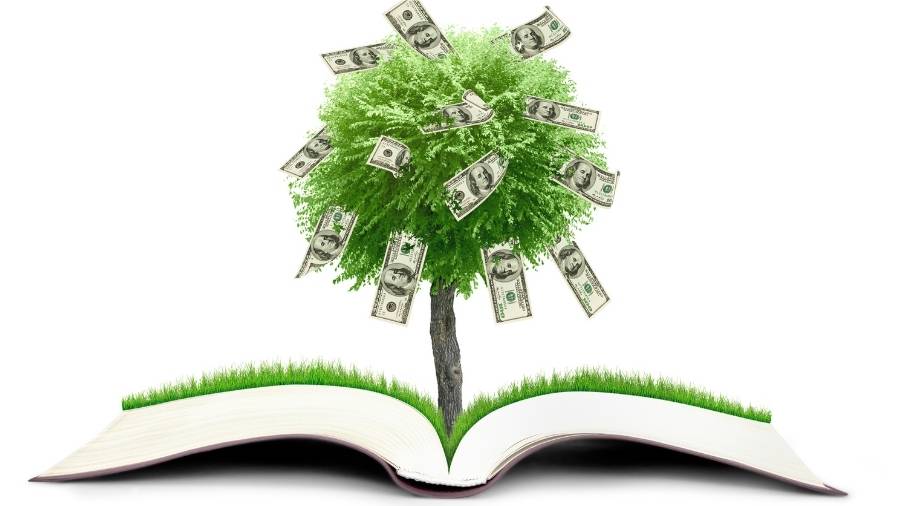 An open book with green grass covering both pages. A "money tree" is growing from the center of the book. 