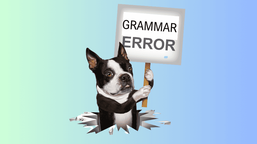 A little dog is holding up a sign that says "grammar error."